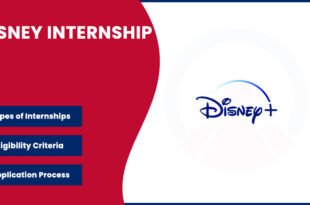 Disney Internships