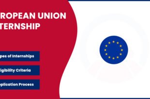 European Union Internship